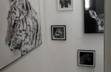 le gîte du fou logement 8 pers 13mn puy du fou - Foto 15