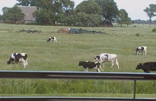 Holiday home in Kudensee with swimming pool - Foto 32