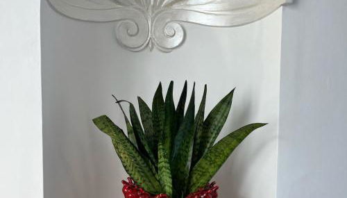 Capri Caput Mundi - Foto 3