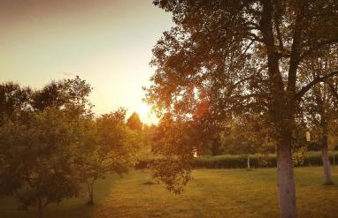 Apartment Lana - Foto 12