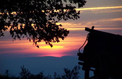 Elegant apartment in resort with swimming pool featuring nature and tranquillity - Foto 37