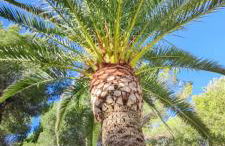 Azzurra Home-Charming Property- For 6 guests - Foto 26