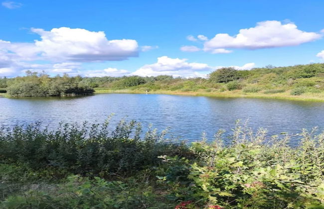 4 Person Holiday Home in Toftlund - Foto 32