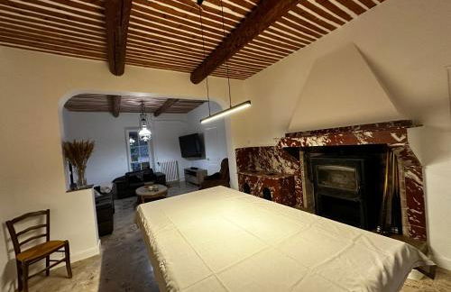 Bastide avec Piscine et Spa, vue Ste Victoire - Foto 20