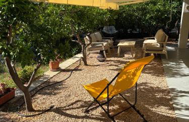 Perla & Palma - Foto 5