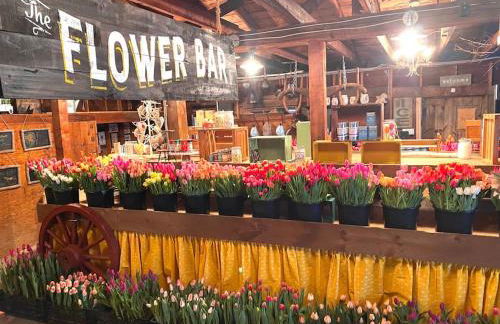 Luxury Farm Stay-Bonds Corner Bungalow-Wolf Pine Hollow - Foto 45