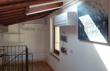 I Pesci nel golfo di Baratti - Foto 7