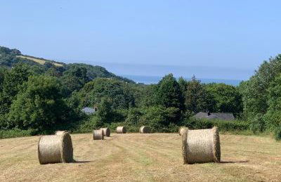 Wild Coastal Retreat at Troed Y Rhiw Aberporth, West Wales - Foto 53