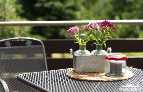 Auszeit-im-Harz Haus 2 Wohnung 1 - Foto 27