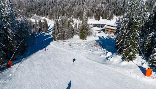 Wiesenquell Apartment Feldberg - Foto 4