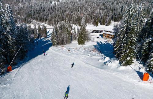 Wiesenquell Apartment Feldberg - Foto 4