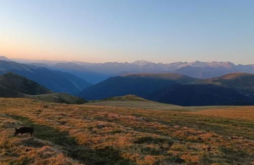 CHALET 4 Le Cerf - Foto 37