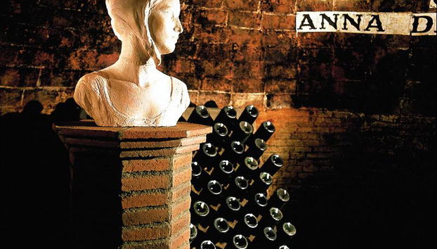 Bodegas Codorníu - Guided Tours - Photo 4