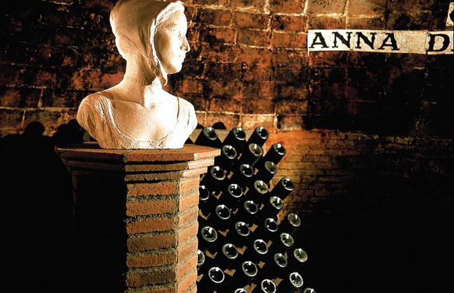 Bodegas Codorníu - Guided Tours - Photo 4