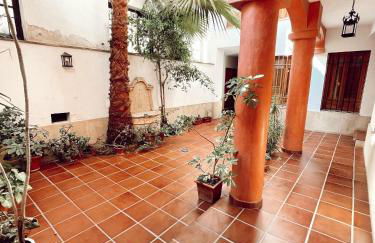 Apartamento Potro 1 - Foto 11