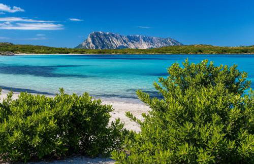 Matilda's house at San Teodoro - Foto 9