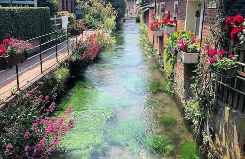 Appartement Veules roses , la cressonnière: « Veules & Victor « - Foto 66