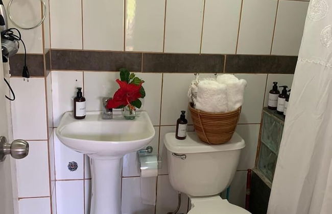 Paraíso Sunset Bungalows - Foto 66