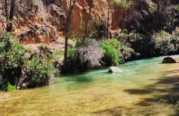 Casa Rural E Puente del Segura - Foto 37