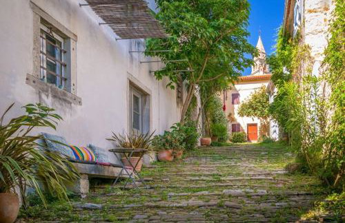 Casa Pino Pina - Foto 4