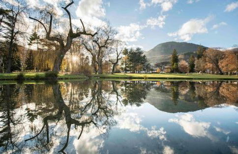 Gîte les lys Fleurs des Pyrénées - Foto 20