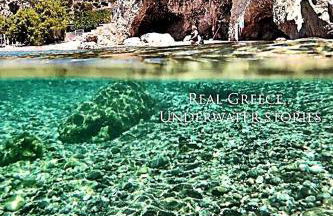 Pallos studio - Foto 12