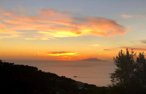 Villa Le Ortensie - Foto 16