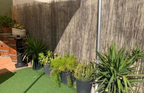 La Manguita Bardenas - Foto 6