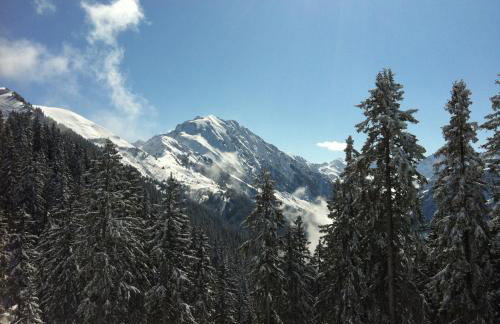 Appartements Le Clos des Gentianes - Foto 31