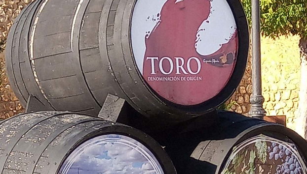 Domaine viticole historique de Toro