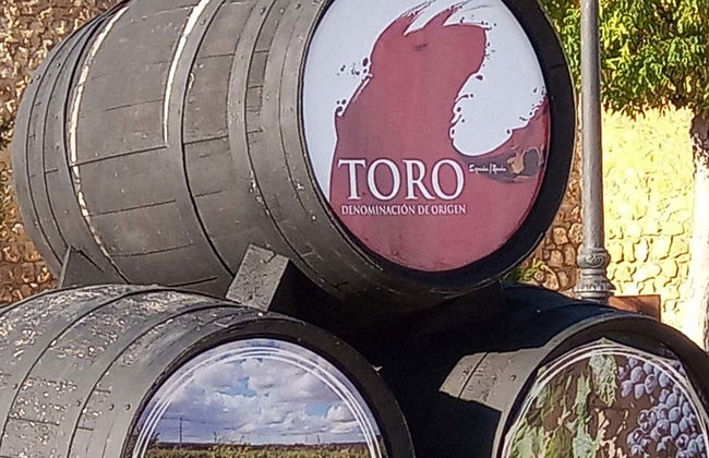 Visita guiada por Toro y una bodega tradicional - Foto 4