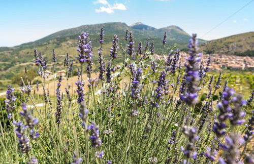 Agriturismo Dispenza - Foto 119