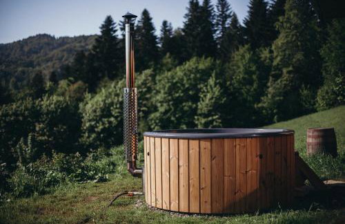 Mech i brzoza - Foto 28