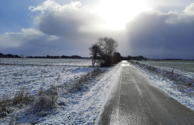 Friesenhaus Nahe Wattenmeer Welterbe - Foto 22