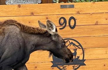 Thorpe On The Water. Creekside Nederland Cabin. - Foto 41