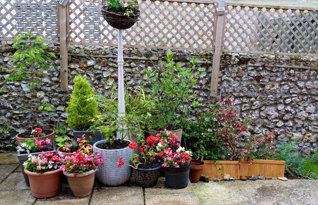 The Pink Door - Foto 39