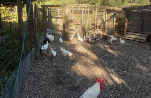 casavacanze Baggioro - Foto 24