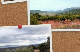 Sto Dimeiko - Foto 27