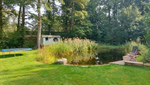 Ferienwohnung Bioland-Hof Wilkens - Foto 4, Garden