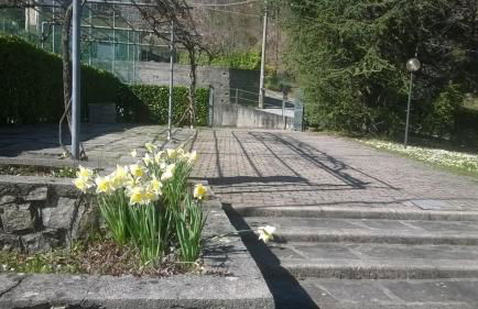 Casa Pierini - Foto 27