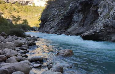 GITE DE LA TRUFFIERE "Les Chênes" - Foto 23