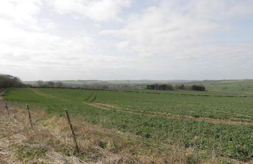 Acorn Cottage - Foto 17