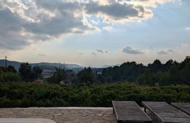 Celler Colltor - Foto 23