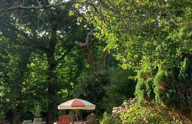 Clos des Loriots - Foto 55