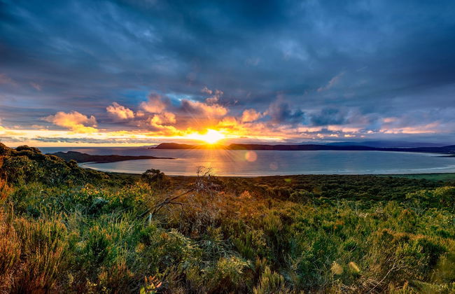 Cloudy Bay Cabin - Photo 14