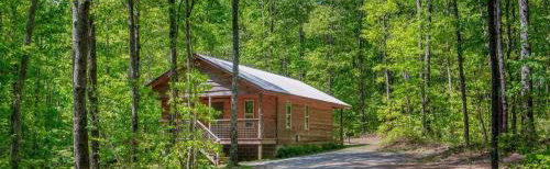 Owl's Nest - Foto 1, Other