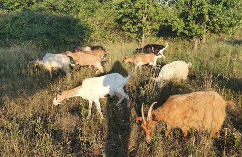 Apartments Kero NEW value 2023 fully AC - Foto 32