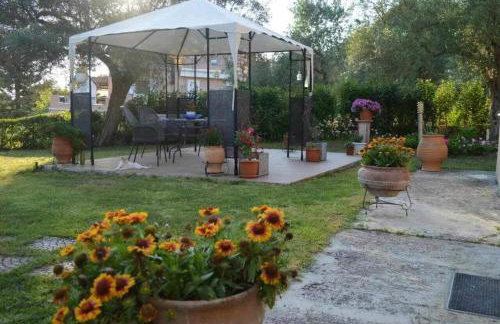 Sunny Garden - Foto 37