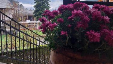 ΛΑΓΟΥΜΙ suite Α3 - Foto 3