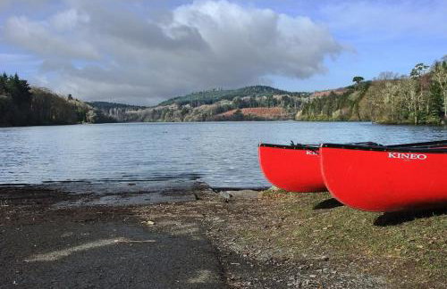 The Downshire Arms Apartments Hilltown - Foto 67